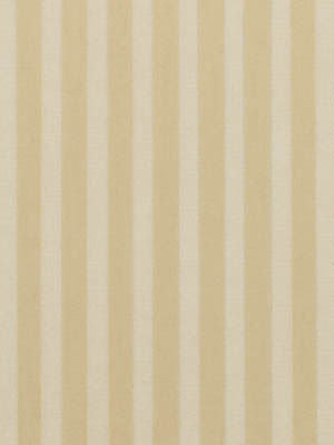 ROBERT ALLEN FABRICS-CARLYLE -RAFFIA