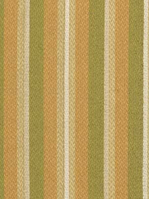 ROBERT ALLEN FABRICS-UNIQUE STRIPE -SPRING