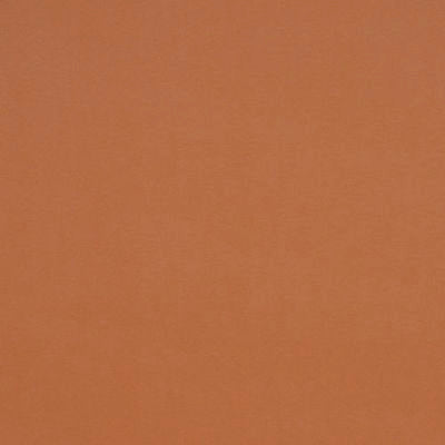 ROBERT ALLEN FABRICS-GALIMATIAS -GINGER