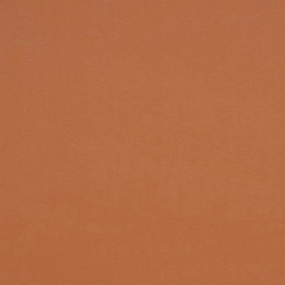 ROBERT ALLEN FABRICS-GALIMATIAS -GINGER