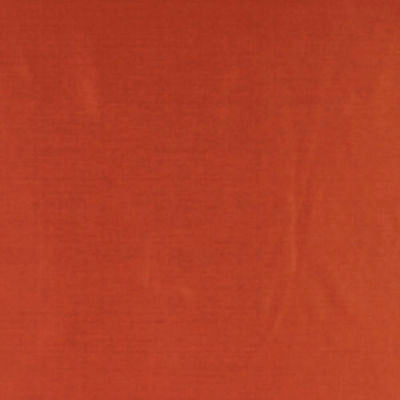 ROBERT ALLEN FABRICS-JOCULAR -GINGER