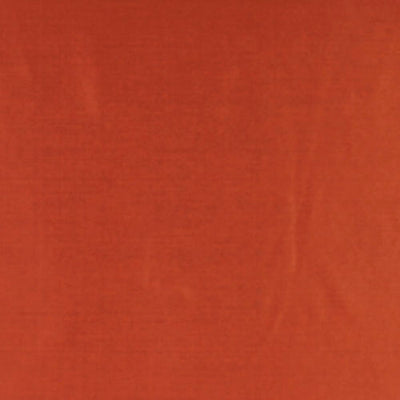 ROBERT ALLEN FABRICS-JOCULAR -GINGER