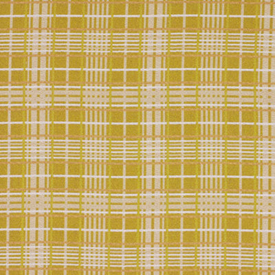 ROBERT ALLEN FABRICS-TARTAN WEB -PEAR