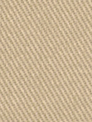 ROBERT ALLEN FABRICS-SUCCESS -STONE