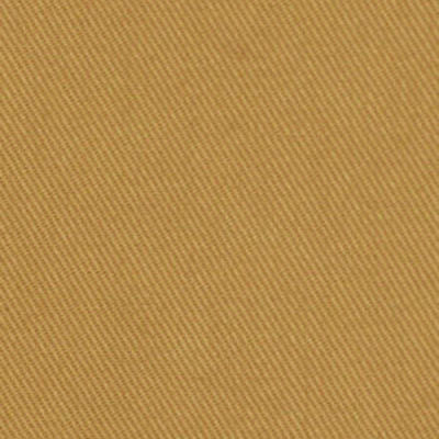 ROBERT ALLEN FABRICS-SUCCESS -BISCUIT