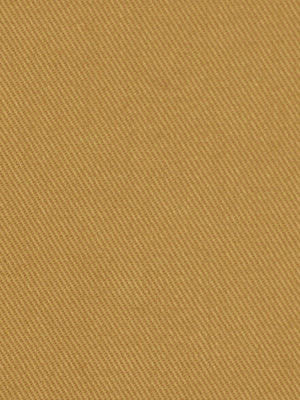 ROBERT ALLEN FABRICS-SUCCESS -BISCUIT