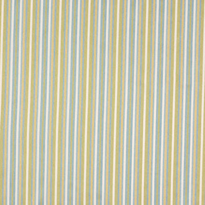 ROBERT ALLEN FABRICS-SWEET STRIPES -BOTANICAL