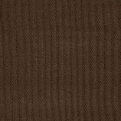 ROBERT ALLEN FABRICS-SCRUMPTIOUS -COAL