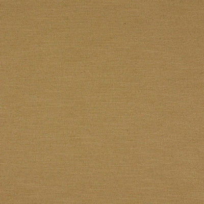 ROBERT ALLEN FABRICS-LUNAR LANDING -SANDSTONE