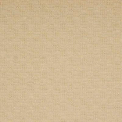 ROBERT ALLEN FABRICS-WICKER -CHAMOIS