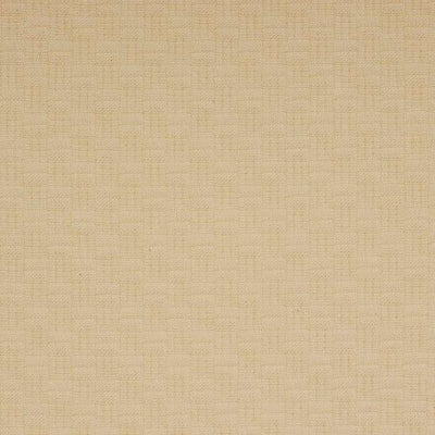 ROBERT ALLEN FABRICS-WICKER -CHAMOIS