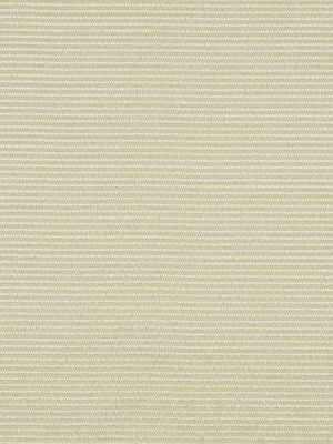 ROBERT ALLEN FABRICS-LARNE -WASABI