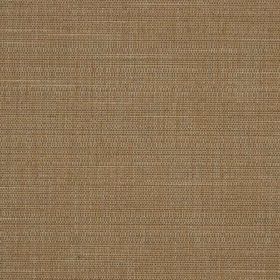 ROBERT ALLEN FABRICS-WHAM BK -NATURAL