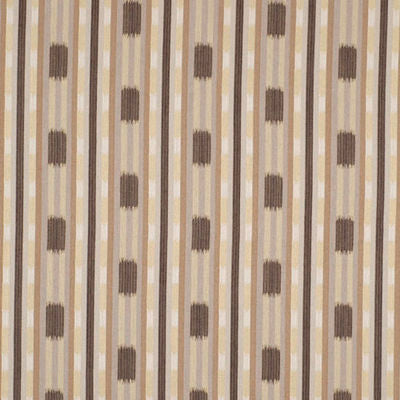 ROBERT ALLEN FABRICS-CHIPPEWA -TWIG