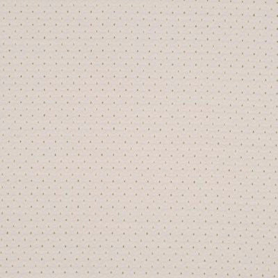 ROBERT ALLEN FABRICS-DEBENHAM -BAMBOO