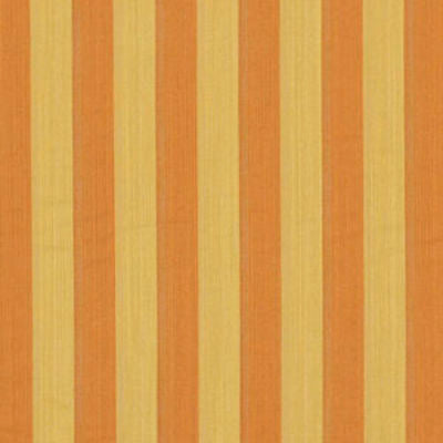 ROBERT ALLEN FABRICS-STRAIGHT ON -CANTELOUPE