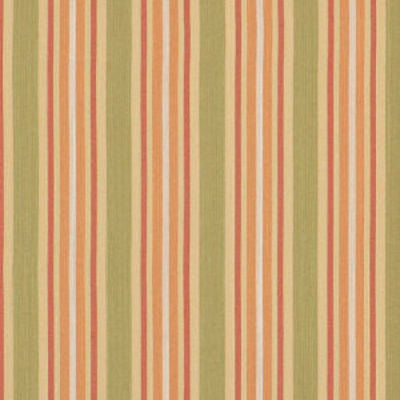 ROBERT ALLEN FABRICS-MOVE ON -APRICOT
