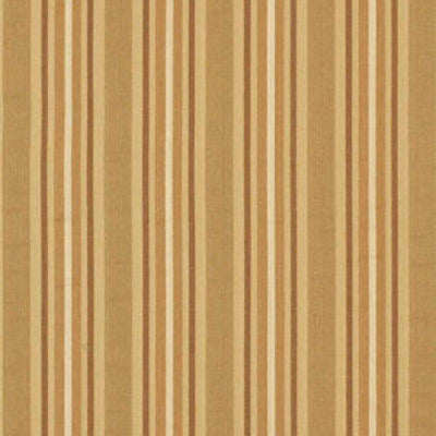 ROBERT ALLEN FABRICS-MOVE ON -CAMEL
