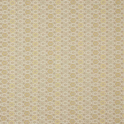 ROBERT ALLEN FABRICS-OVAL CIRCLE -SAFARI