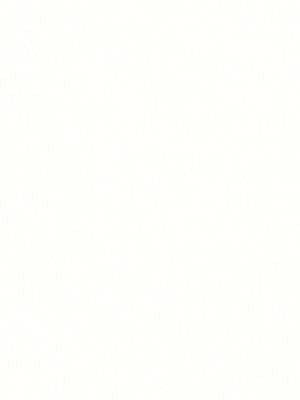 ROBERT ALLEN FABRICS-CLOUDING -WHITE