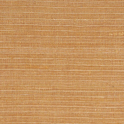ROBERT ALLEN FABRICS-FELICITAS -DESERT