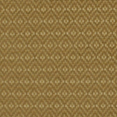 ROBERT ALLEN FABRICS-PULQUI -BIRCH