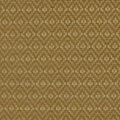 ROBERT ALLEN FABRICS-PULQUI -BIRCH