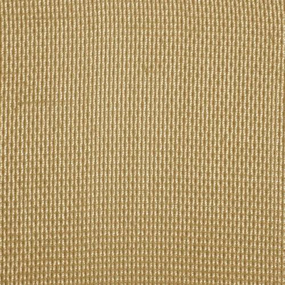 ROBERT ALLEN FABRICS-TIRSO -SESAME