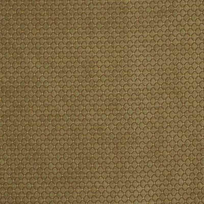 ROBERT ALLEN FABRICS-LETTERKENNY -PISTACHIO