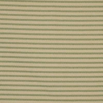 ROBERT ALLEN FABRICS-AOIFE -PISTACHIO