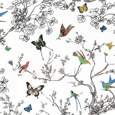 SCHUMACHER FABRICS -174760-BIRDS & BUTTERFLIES