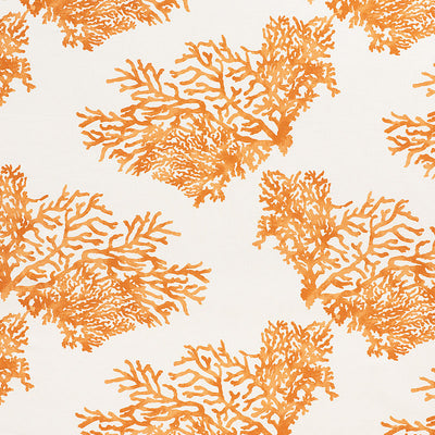 SCHUMACHER FABRICS -175366-GREAT BARRIER REEF