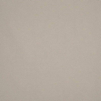 SCHUMACHER FABRICS -175881-CONSTELLATION INDOOR/OUTDOOR
