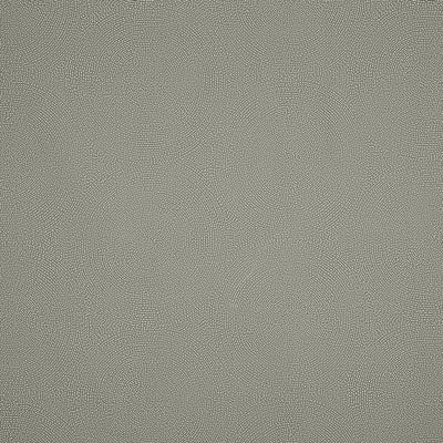 SCHUMACHER FABRICS -175882-CONSTELLATION INDOOR/OUTDOOR