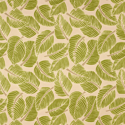 SCHUMACHER FABRICS -176190-COSTA RICA