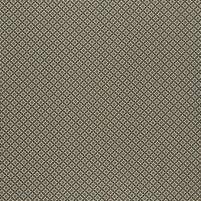 SCHUMACHER FABRICS -176420-SERENDIPITY