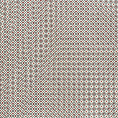SCHUMACHER FABRICS -176424-SERENDIPITY