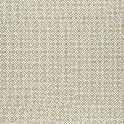 SCHUMACHER FABRICS -176426-SERENDIPITY