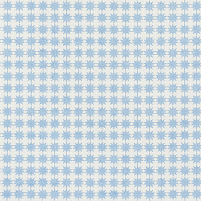 SCHUMACHER FABRICS -177080-STELLA