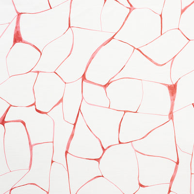 SCHUMACHER FABRICS -177921-FILIGREE