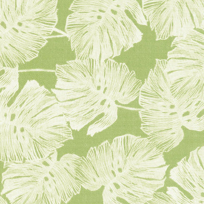Schumacher Fabrics , a selection of fabrics such as velvet, damask, cotton, silk, linen and sheers.