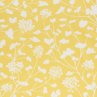 Schumacher Fabrics , a selection of fabrics such as velvet, damask, cotton, silk, linen and sheers.