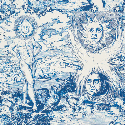 SCHUMACHER FABRICS -178620-MODERN TOILE