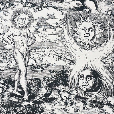 Schumacher Fabrics , a selection of fabrics such as velvet, damask, cotton, silk, linen and sheers.