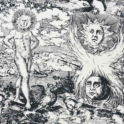 SCHUMACHER FABRICS -178621-MODERN TOILE