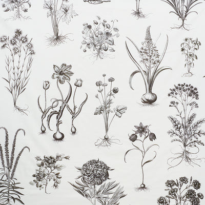 Schumacher Fabrics , a selection of fabrics such as velvet, damask, cotton, silk, linen and sheers.