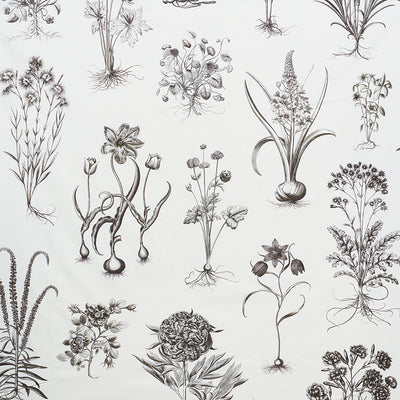 SCHUMACHER FABRICS -178740-CABOT BOTANICAL LARGE