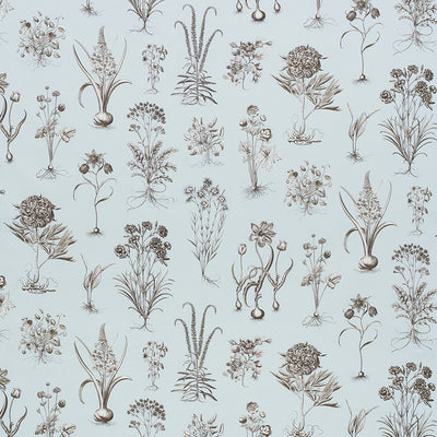 SCHUMACHER FABRICS -178750-CABOT BOTANICAL