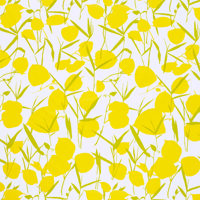 Schumacher Fabrics , a selection of fabrics such as velvet, damask, cotton, silk, linen and sheers.