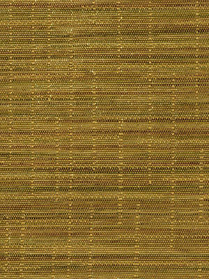 ROBERT ALLEN FABRICS-FLAMENCO -CASHEW